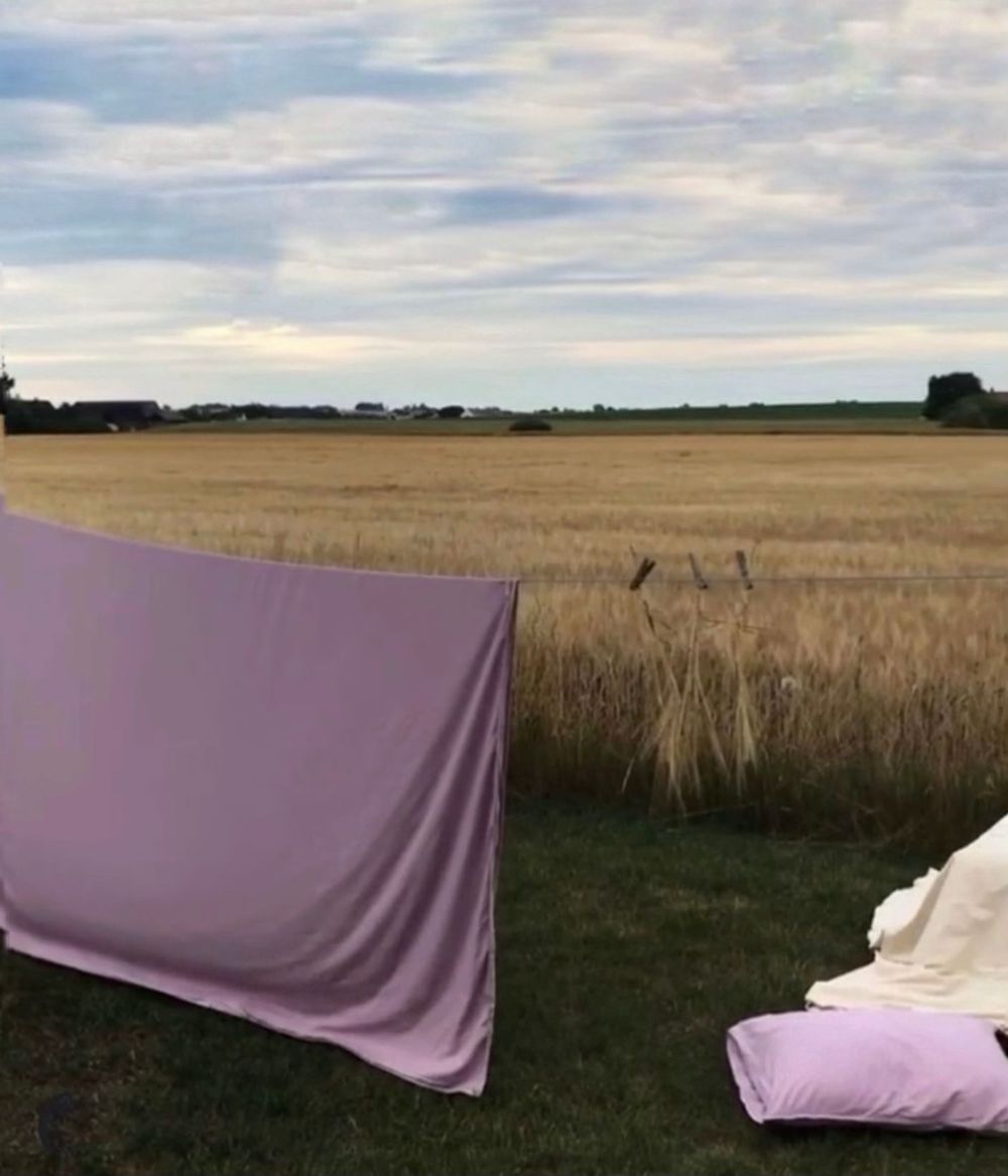 Duvet cover Aster