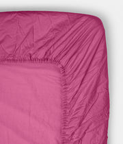 Fitted sheet Pitaya