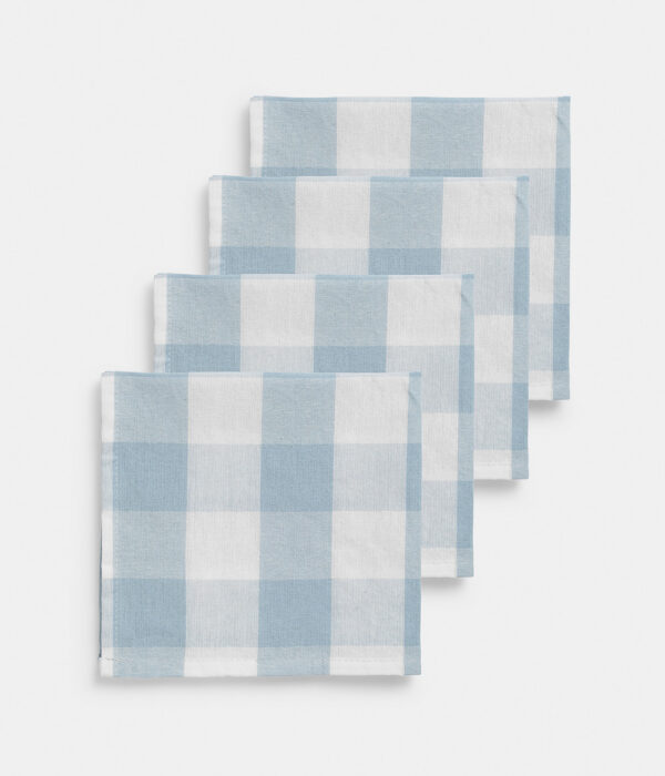 Napkin 4 pcs Bluey (Pre-order)